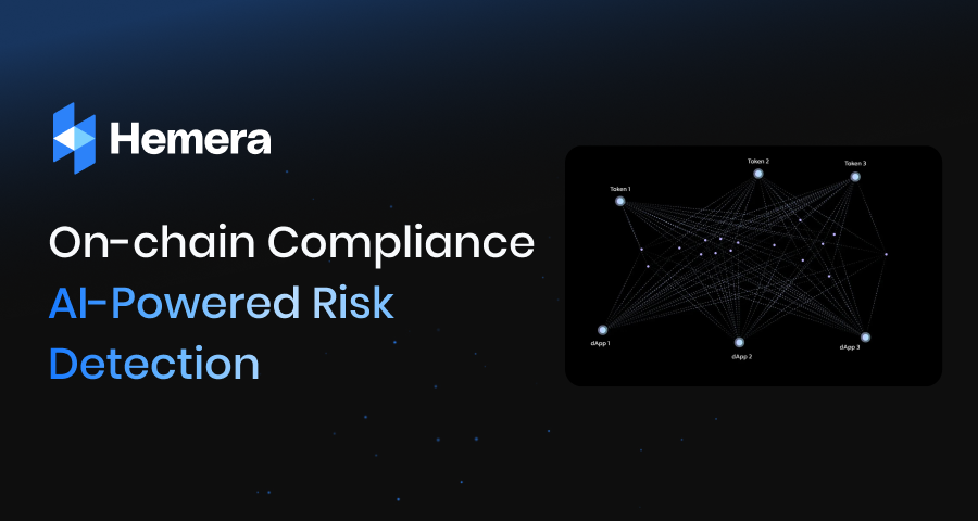Email Address Image Risk Crypto AML & Address Risk Scoring API | On-Chain Compliance | Hemera